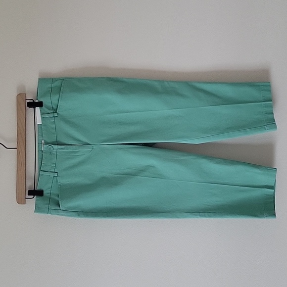 NWT Loft Green Original Crop Pants Petite Size 10P - Picture 1 of 6